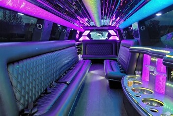 Apple Valley Limo Interior